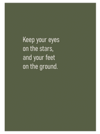 Flower Touch Poster Seti