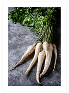 Beyaz Havuç - Art Print