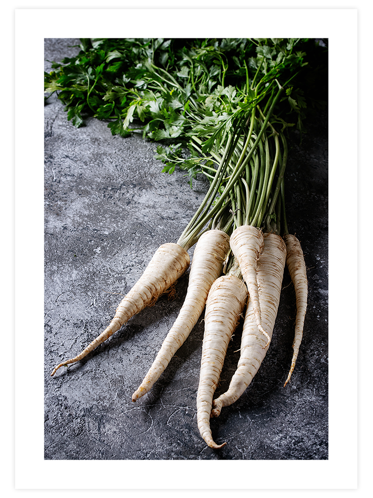 Beyaz Havuç - Art Print