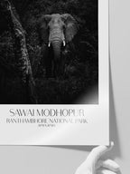 Elephant D'afrique - Art Print