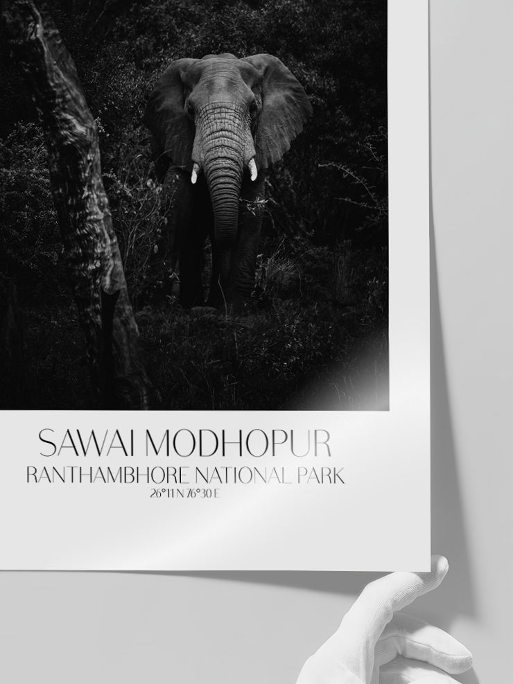 Elephant D'afrique - Art Print  Poster