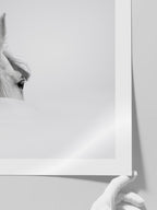 Beyaz At - Art Print