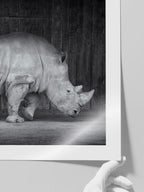 Gergedan - Art Print