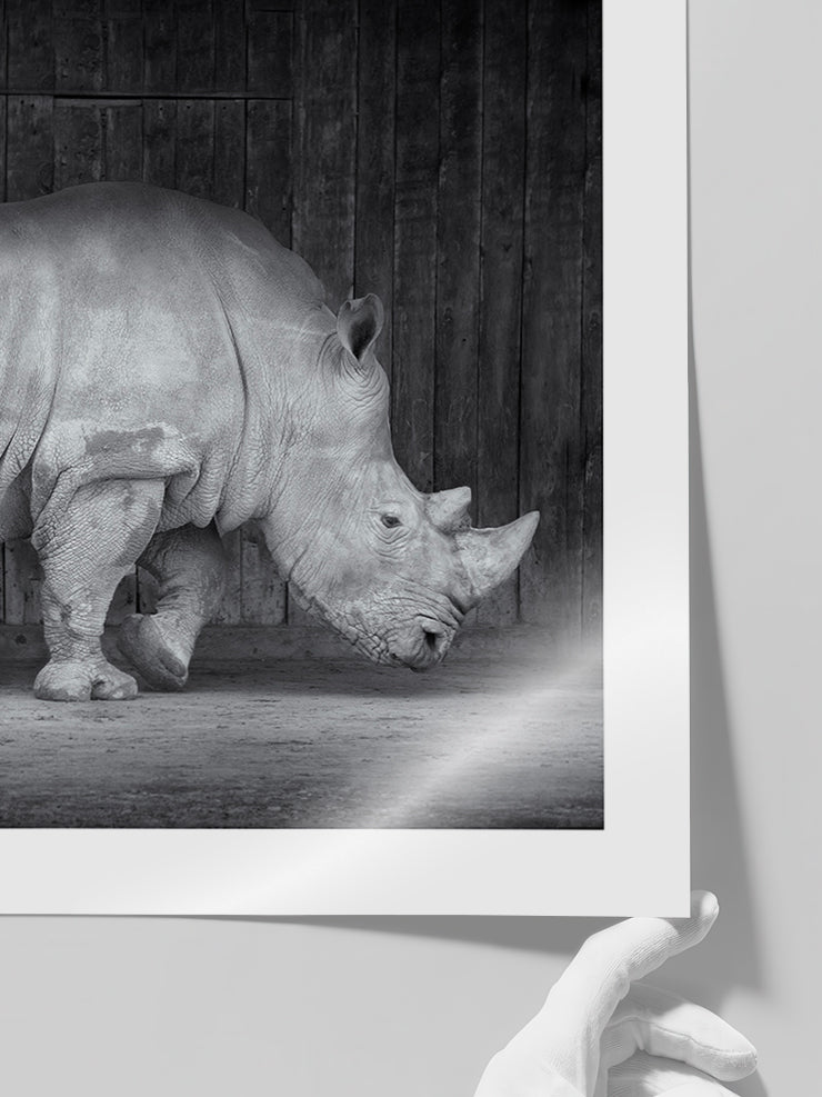 Gergedan - Art Print