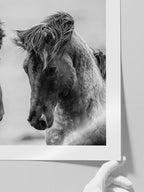 Vahşi Atlar - Art Print