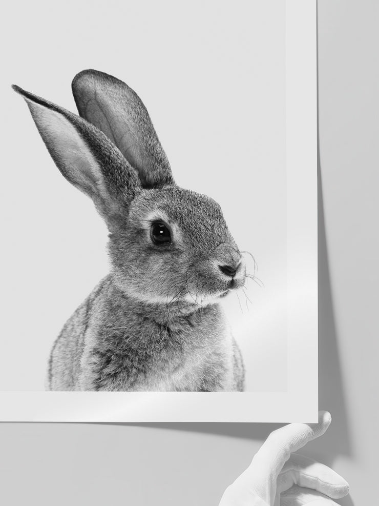 Tavşan - Art Print