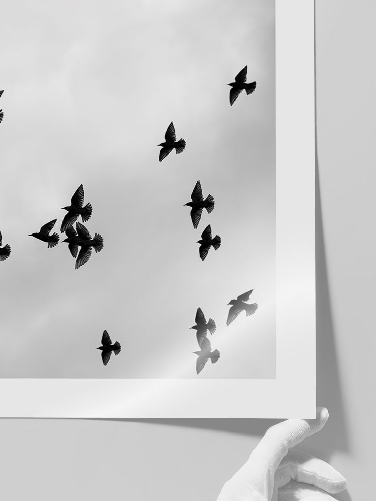 Like A Bird N3 - Art Print  Poster