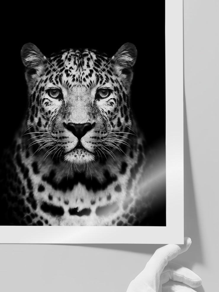 Leopar - Art Print  Poster