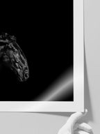 Siyah At - Art Print