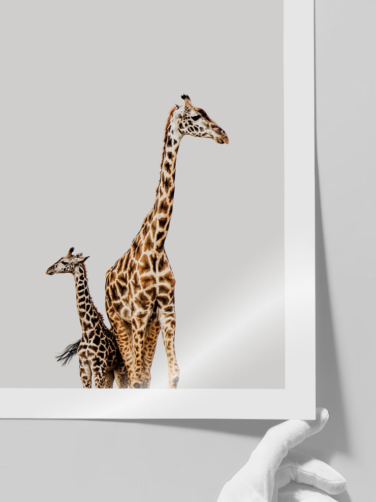 Zürafalar - Art Print