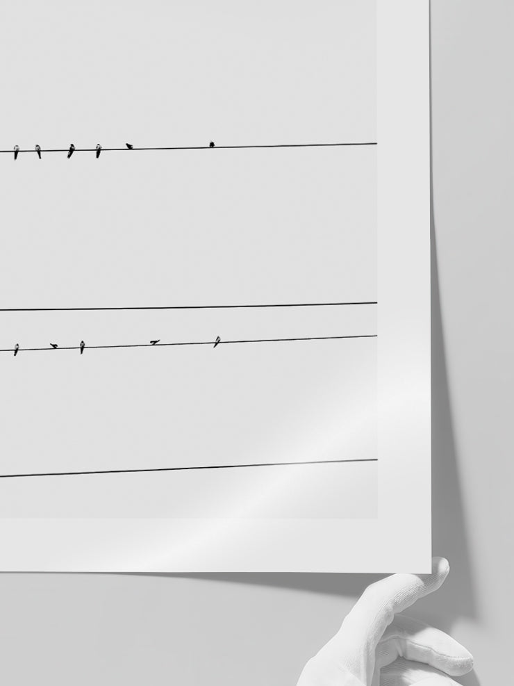 Teller Üzerindeki Kuşlar - Art Print