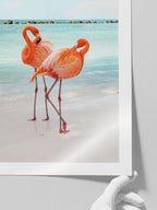 İki Flamingo - Art Print
