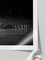 Bengal Kaplanı - Art Print