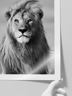 Aslan Portresi - Art Print