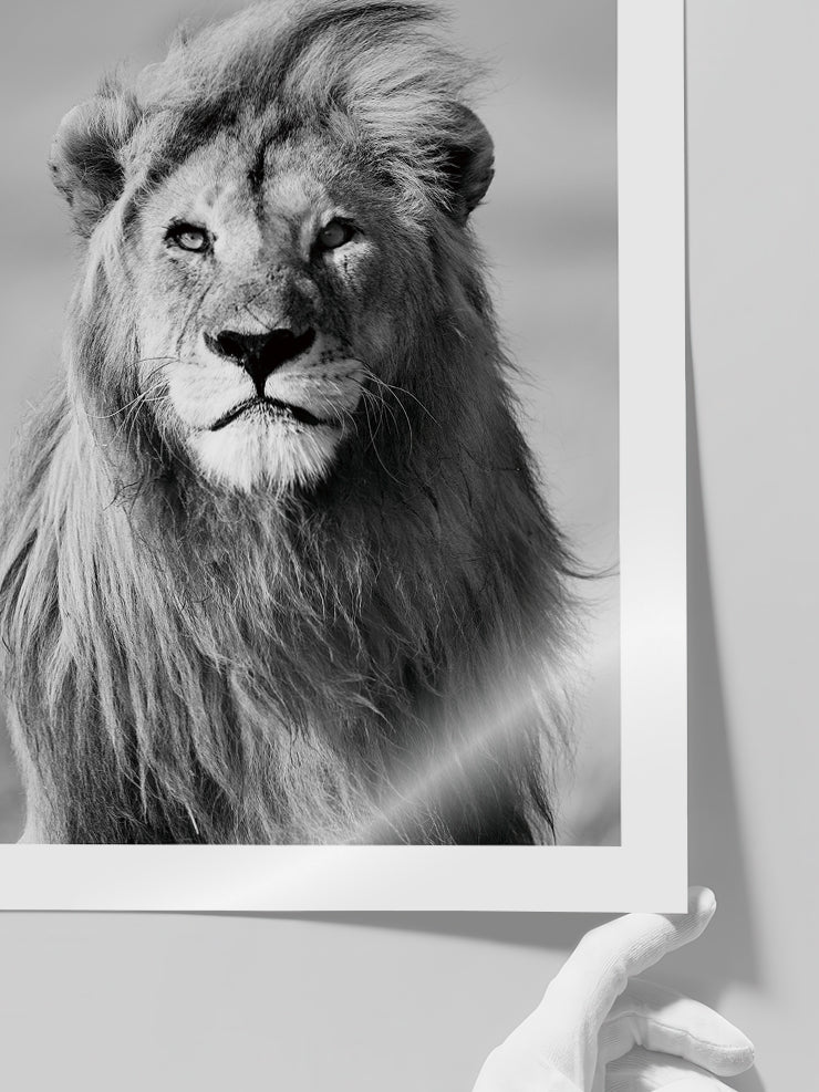 Aslan Portresi - Art Print