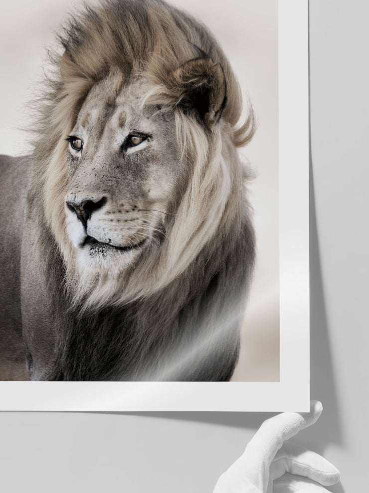 Aslan - Art Print  Poster