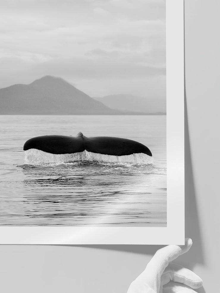 Balina Kuyruğu - Art Print