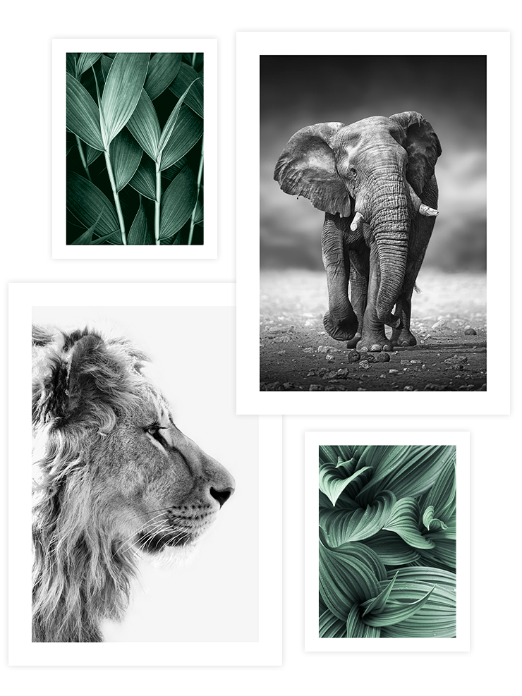 Green Beauty Poster Seti Fotoğraflar Poster