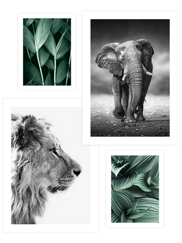 Green Beauty Poster Seti