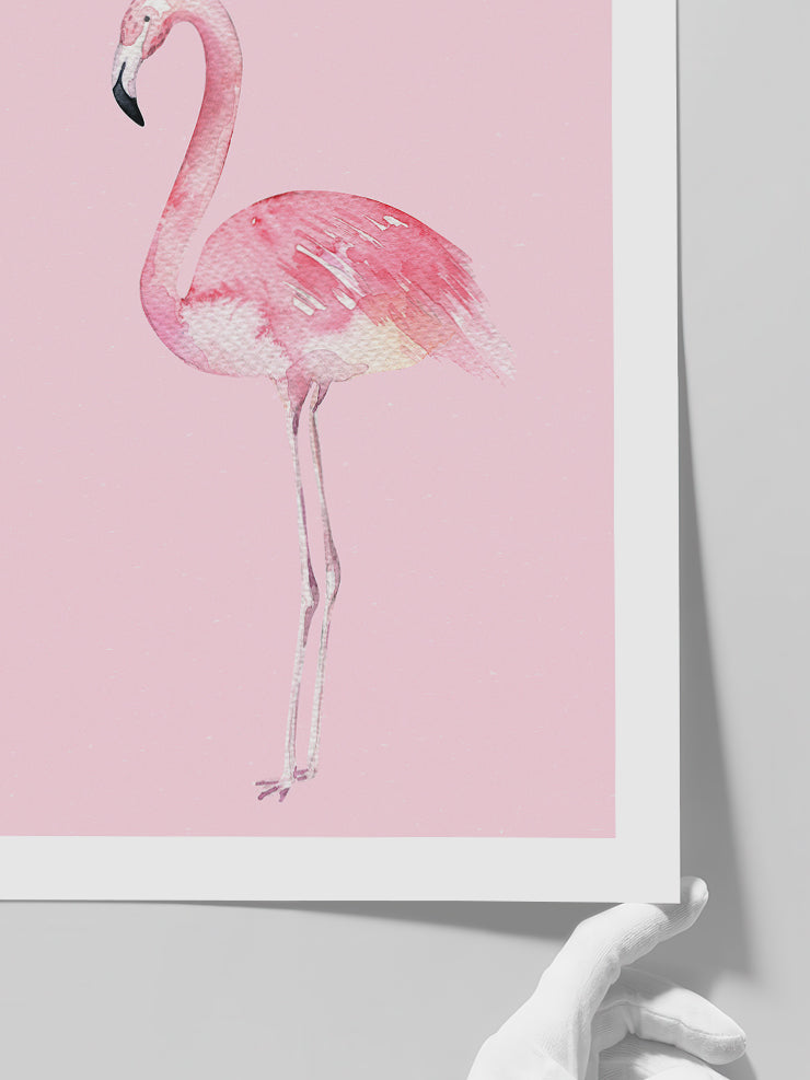 Flamingo - Art Print