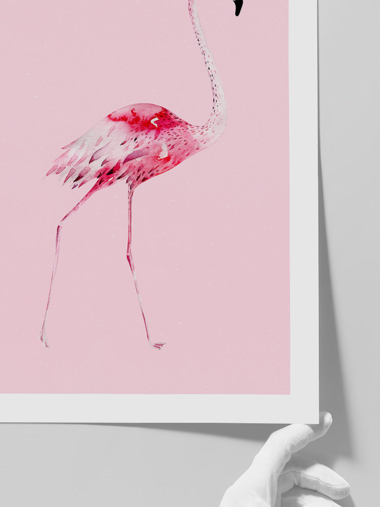Flamingo N2 - Art Print