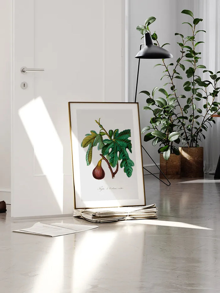 İncir - Art Print
