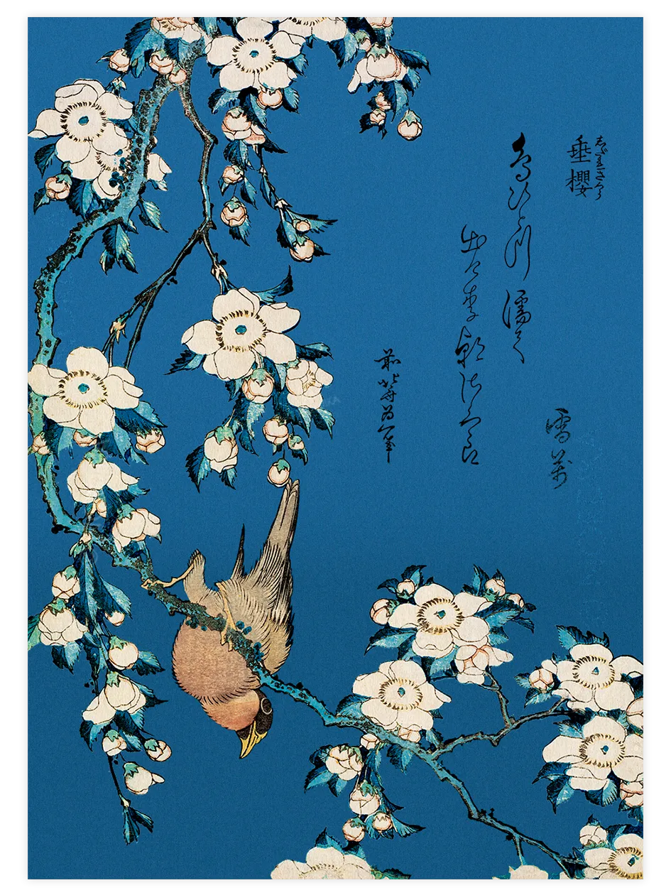 Hokusai, Bullfinch and Weeping Cherry poster