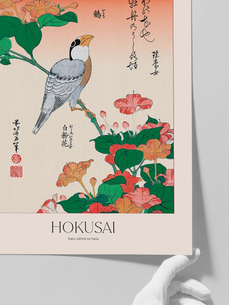 Hokusai Ikaru Oshiroi no Hana posterini yakından gösteren görsel