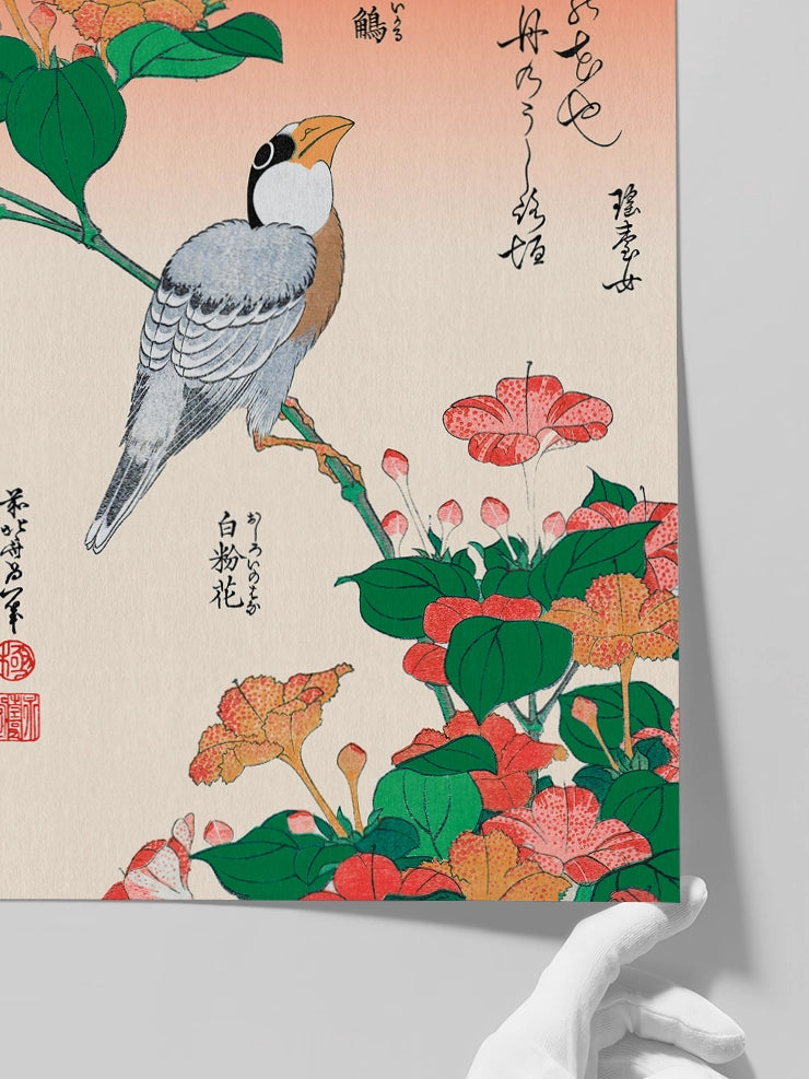 Hokusai Ikaru Oshiroi no Hana posterinin detaylarını gösteren görsel