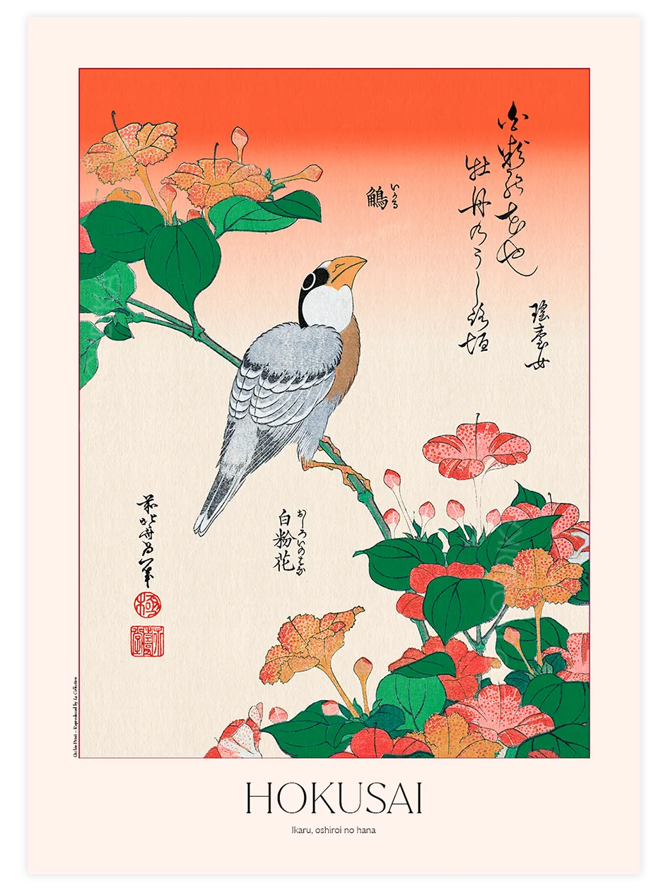 Hokusai Ikaru Oshiroi no Hana posteri