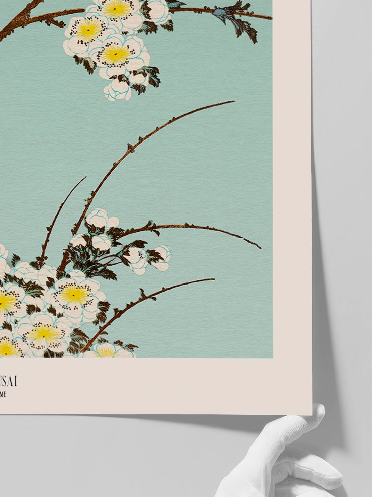 Hokusai Shiraume posterinin detaylarını gösteren görsel