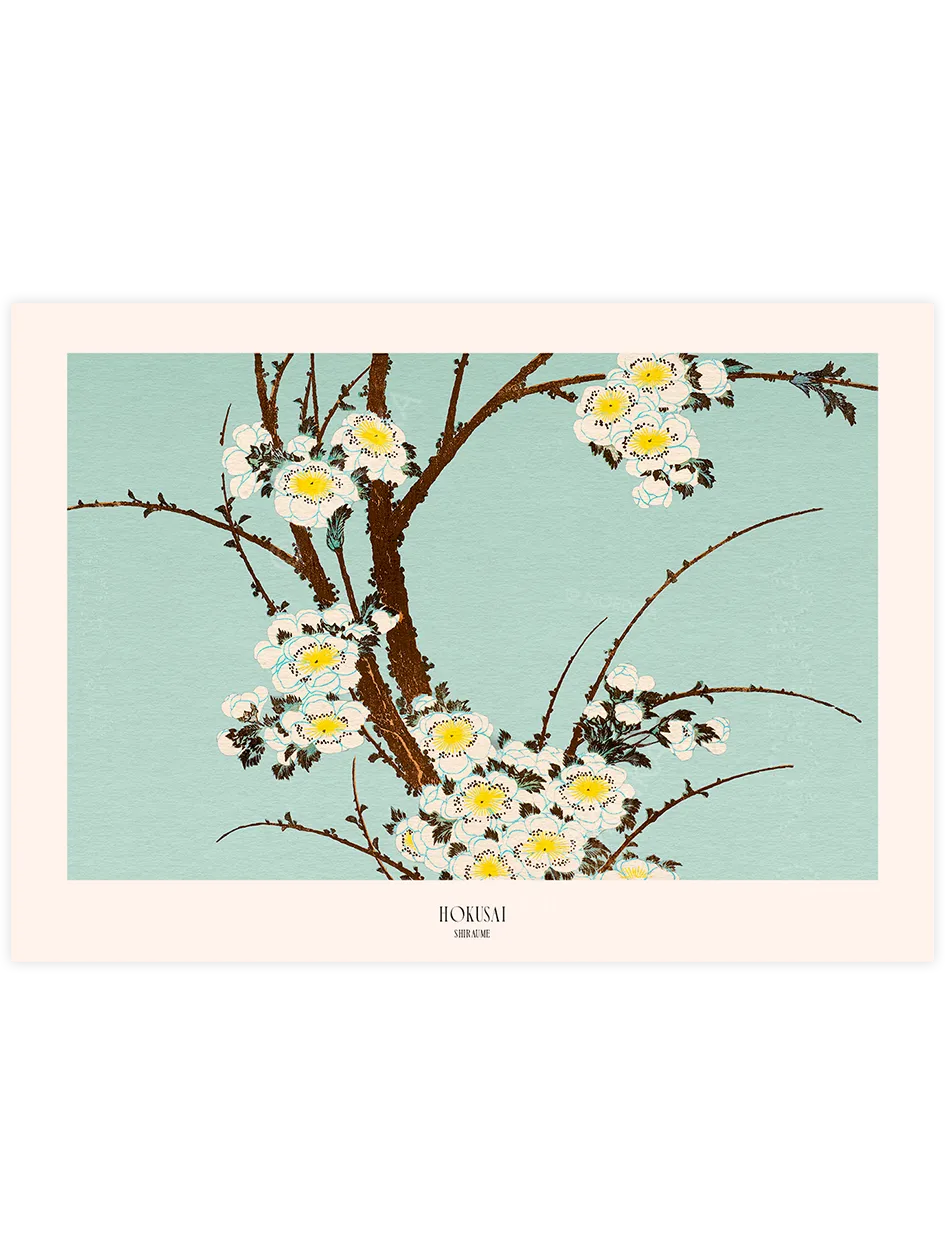 Hokusai Shiraume poster