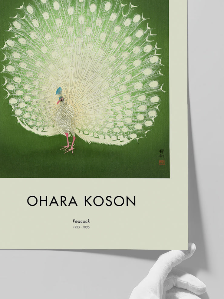 Ohara Koson Peacock - Art Print  Poster