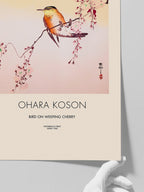 Ohara Koson Bird on Weeping Cherry - Art Print