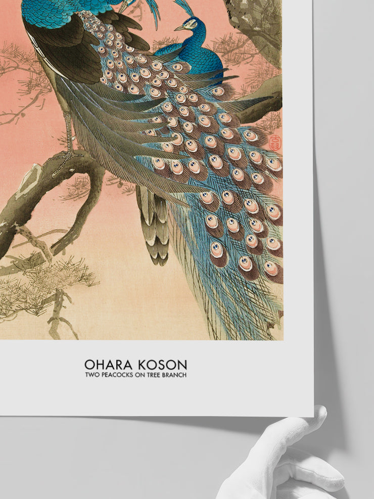 Ohara Koson Two Peacocks On Tree Branch - Art Print  Poster