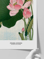 Ohara Koson Blooming Lotus Flowers - Art Print