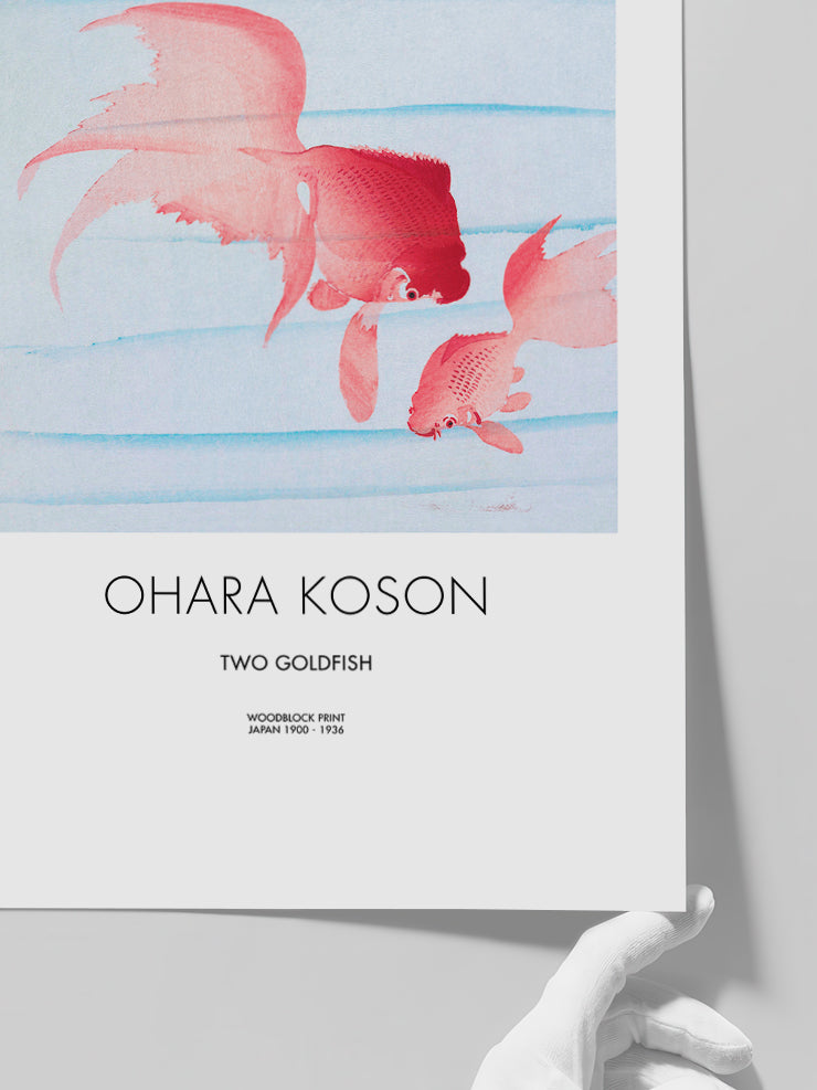 Ohara Koson Two Goldfish - Art Print  Poster