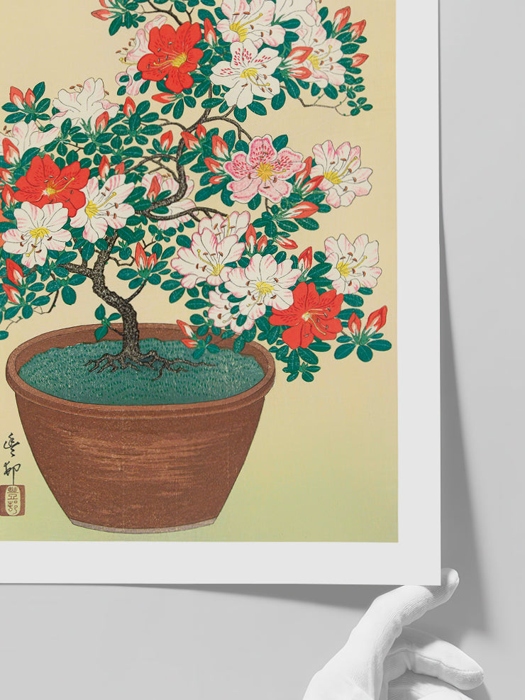Ohara Koson N13 - Art Print  Poster
