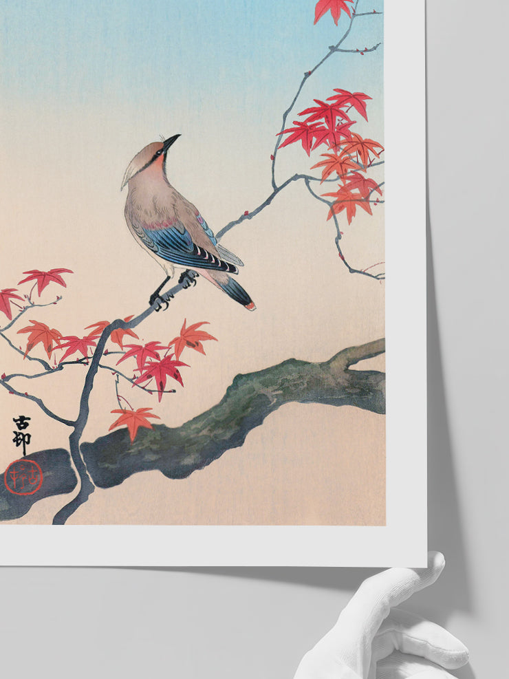 Ohara Koson N18 - Art Print  Poster