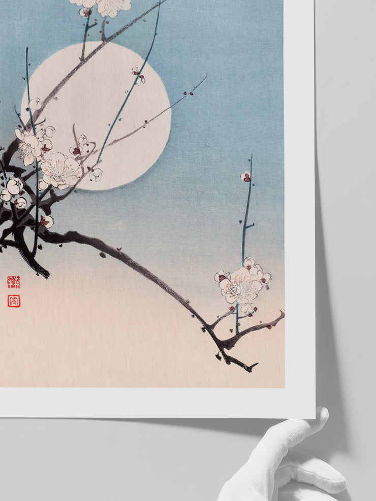 Koho Plum and The Moon - Art Print  Poster