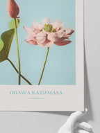 Ogawa Kazumasa Lotus Flowers - Art Print