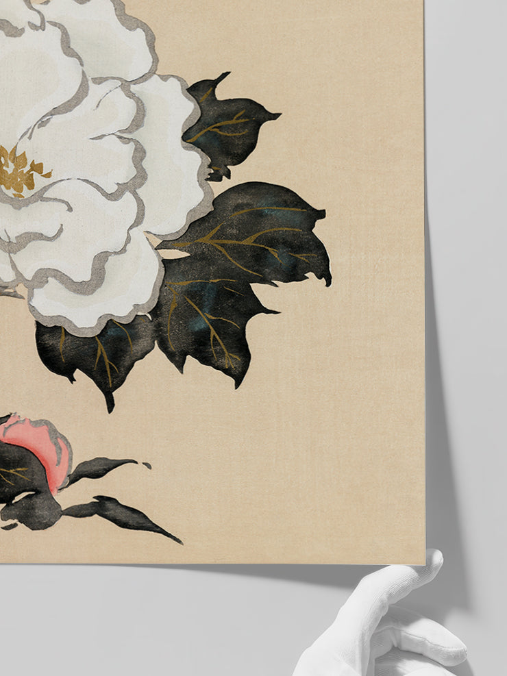Kamisaka Sekka Flowers from Momoyogusa - Art Print  Poster