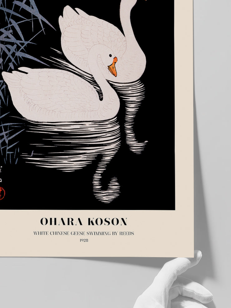 Ohara Koson White Chinese Geese - Art Print