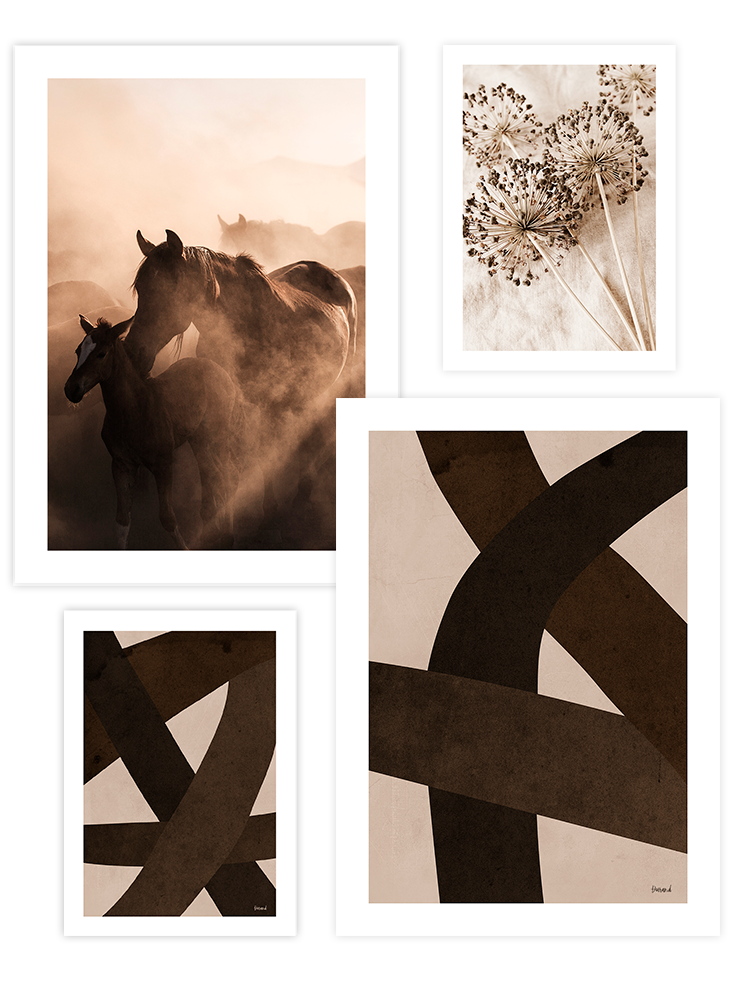 Sweet Brown Poster Seti Ürün ana görseli