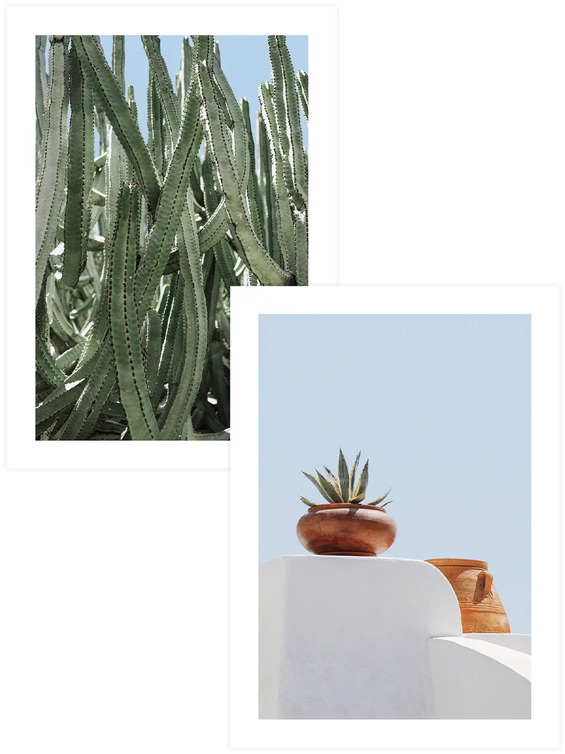 Kaktüs ve agave bitkili botanik poster seti