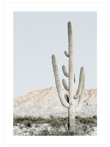 Luminosity Poster Seti
