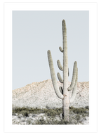 Natural Colors - Poster Seti Trio