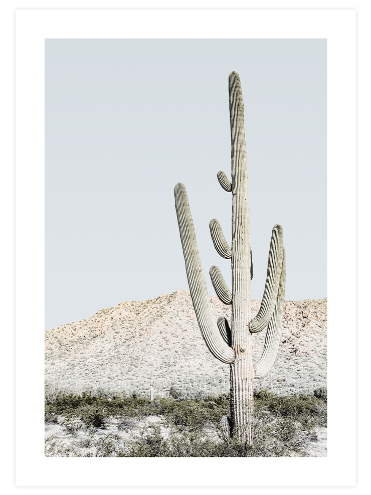 Natural Colors - Poster Seti Trio