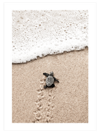 Happiness Poster Seti