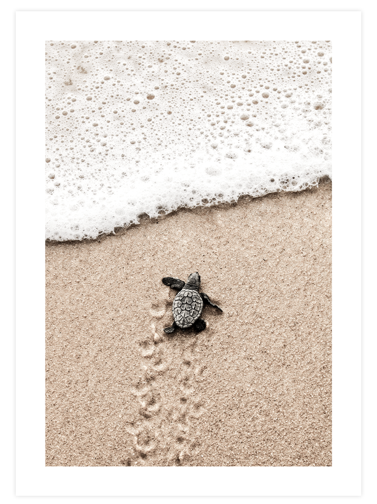 Natural Beige - Poster Seti Trio